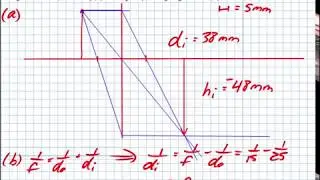 Image Formation: Locust 1