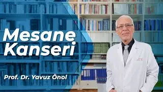 Mesane Kanseri Nedenleri, Belirtileri ve Tedavi Seçenekleri - Prof. Dr. Yavuz Önol