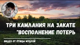 Как активизировать энергии на восполнение потерь