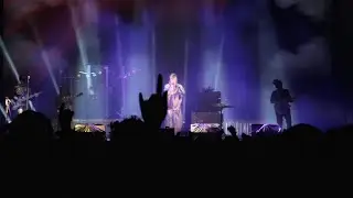 Aterciopelados - Errantes (En Vivo)