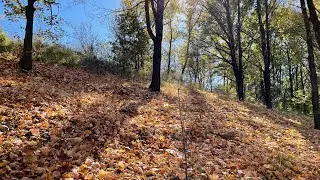 Осень 2022 на Украине