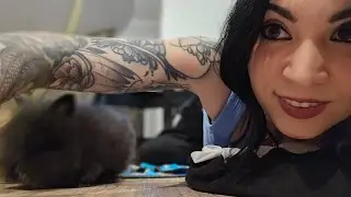 Bunny Play Time