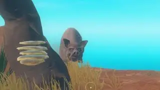 Chill Raft vid