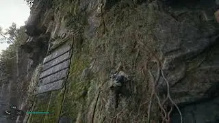 BUG - Jedi Survivor - Ass climbing