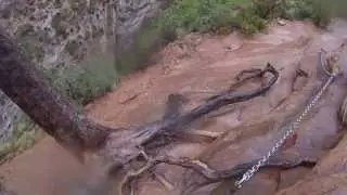 GP016682 - Angel's Landing (Zion NP)