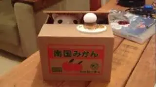 =^.^= Funny Money Box =^.^=