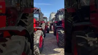 Новые тракторы Беларус у Трактористов #shorts #tractor #фермер