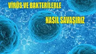 WHY SOME BUILDINGS CANNOT COAT WITH VIRUS AND BACTERIA? KORONA AND OTHERS...