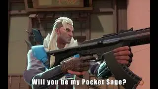 POCKET SAGE- A Valorant Parody Song