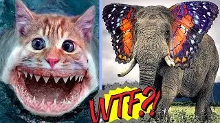 ФОТОШОП МАСТЕР 99 ЛВЛ СКРЕЩИВАЕТ ЖИВОТНЫХ – УПОРОТЫЕ СОЗДАНИЯ из ТВОИХ КОШМАРОВ!!!