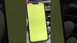 iPhone 13 Pro Max green screen