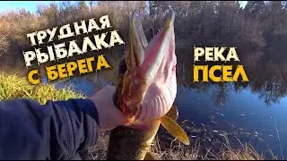 ТРУДНАЯ РЫБАЛКА СПИННИНГОМ с БЕРЕГА ! ЩУКА ! ОСЕНЬ ! река ПСЕЛ