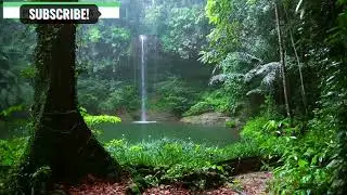 FL studio music relax rain