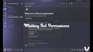Vyron-101 Error Fix — Missing Bot Permissions