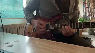 PRS CE-24 from 1991