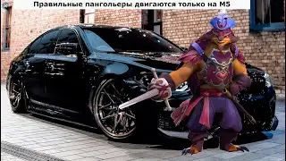 ЗАКАТОЧНАЯ НА ПАНГОЛЬЕРЕ!