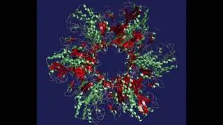 Scp-008:El virus zombie (traducido al español)