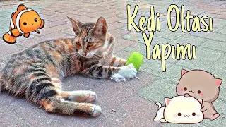 🐾 Kedi Oltası Yapımı 🐾 | Sürpriz Sonlu 😍💕 | Ebrar Yazıcı