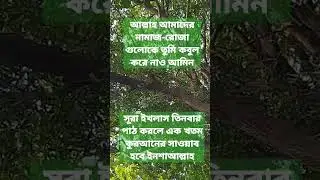 সুরা ইখলাস#shorts#short#shortsfeed