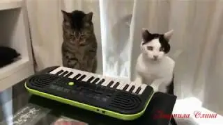 Ты упал с луны...   прикольн
