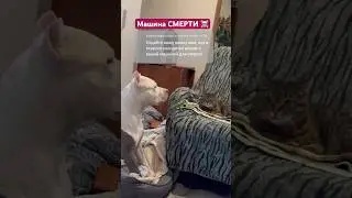 Я своих не предаю ! 