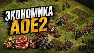 КАК РАБОТАЕТ ЭКОНОМИКА В AGE OF EMPIRES 2 | Гайд для новичков и не только !