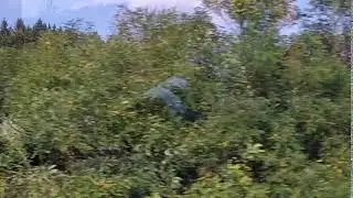 VID 20190915 113907