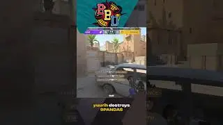 9PANDAS, WHERE IS YOUR BOMB? #cs2 #csgo #cs2clutch