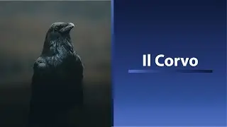 Il corvo - di Edgar Allan Poe - Racconti Celebri