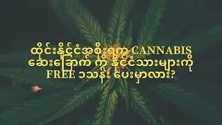 Thailand give Cannabis 1millions free to citizens? ဆေးခြောက်ကိုနိုင်ငံသားတွေကိုFree၁သန်းပေးမှာလား?