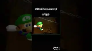 Luigis Death is Mario’s Care