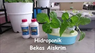 Hidroponik Bekas Aiskrim