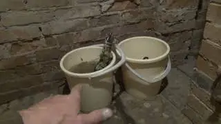 МОЯ БАНЯ ПОД ЗЕМЛЁЙ