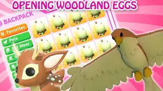 OPENING WOODLAND EGGS IN ADOPT ME 🦌🥚 Roblox Adopt Me Hatching Woodland Eggs