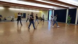 Minefields line dance by Shane McKeever (N.IRE) & Jenny Stephenson (UK) - Feb. 2021