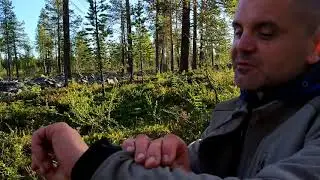 3 серия Морошка # Морошка ТВ