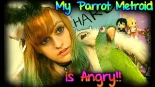 My Parrot Metroid IS ANGRY!!【Blue Crowned Conure】~ BabyZelda Gamer Girl