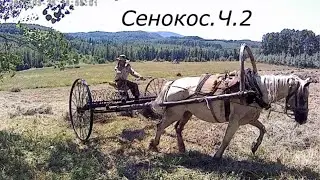 Сенокос. Ч. 2.Собираем сено