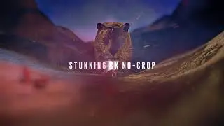 Canon EOS R5 - Born to Rule