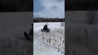 Переславский гости
