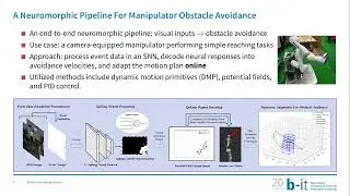 [20 Years of b-it] A Neuromorphic Approach to Obstacle Avoidance in Robot Manipulation