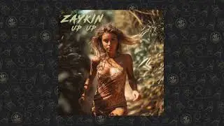 Zaykin - Up Up