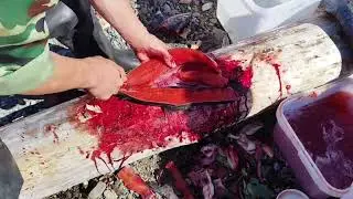 Разделка Нерки на берегу Охотского моря