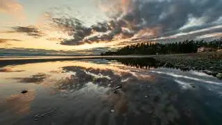 nature background video No copyright | Background nature video