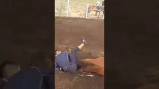 Что, значит природный конник?