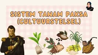 TANAM PAKSA (CULTUURSTELSEL) - KEBIJAKAN BELANDA DI INDONESIA