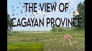 ANG GANDA TUMIRA SA PROBINSYA/TAHIMIK AT MASAYANG PAMUMUHAY.