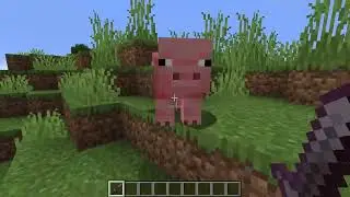 Why I would never be in Hermitcraft
