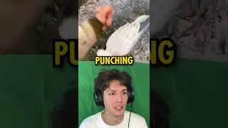 This Guys Helps Frozen Birds *STRANGE* 