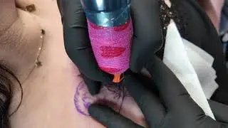 Bird Tattoo  full Process